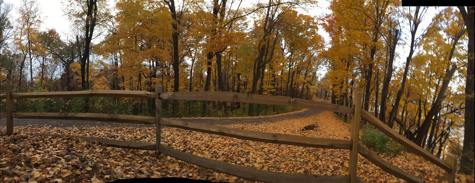 Fall Road near Mississippi